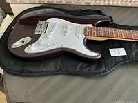 Full view of guitar body on soft case