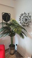 Clock, palm plant, wall sculpture overview