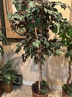 Full view of artificial ficus tree in basket