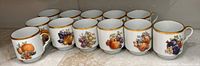 All twelve mugs lined in two rows showing varied fruit graphics and gold rims