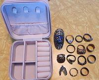 Entire lot with travel jewelry case open, showing fifteen rings and charm