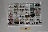 overall view of all 36 pairs in clear compartment tray