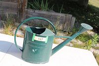Side view of green metal watering can showing handle, top opening, spout, and rose head