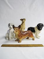 All four porcelain dog figurines with ruler