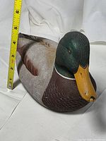 Front left view showing size with measuring tape and paint wear on beak