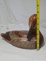 Left side view with vertical tape measure showing height