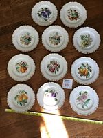 Group shot of all eleven fruit plates arranged on floor