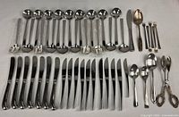 All flatware laid out showing quantity and variety