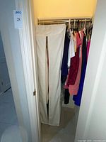 Closet view with garment bag and hanging clothes