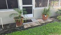 Both potted palms outside against wall