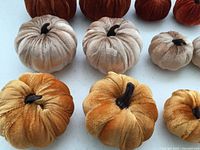 Group of velvet pumpkins showing texture and stems