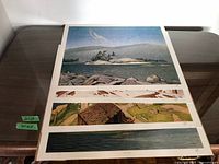 All four unframed prints stacked on table showing partial views