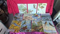 All 11 bird prints laid out showing artwork and colors