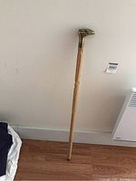 Full view of cane leaning against wall