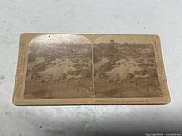 Front of sepia stereoview card showing twin images and marginal publisher text