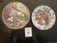 Both plates front view mounted on black background