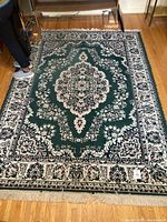 Full view of rug showing overall design, colors, fringe and size reference