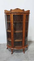 Full front view of curved glass oak curio cabinet with shelves and cabriole feet