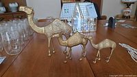 Three brass camels of varying sizes on tabletop with other objects around
