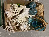 Flat box containing sea shells, faux coral, glass spheres, and fishing float