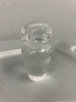 Front view of clear glass owl showing engraved feather pattern