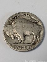Reverse of Buffalo nickel showing American bison and FIVE CENTS legend