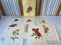 All eight prints with presentation folder displayed on table