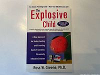 Front cover of The Explosive Child book