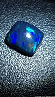 Cushion cabochon black opal showing blue-green flashes on textured black surface