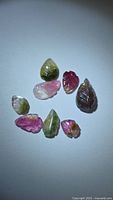Group of eight leaf-cut bi-colored tourmalines