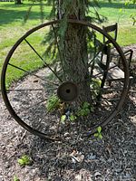 Full view of entire spoked wheel leaning against tree