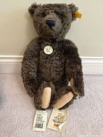 Front view of Steiff teddy bear sitting with tags visible