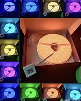 Reel of neon rope light illuminated orange in box with color samples around edges