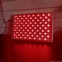 Panel lit with red LEDs