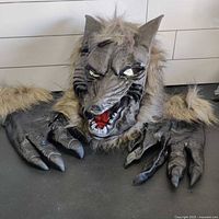 Front view of werewolf mask and gloves