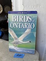 Front cover showing title, author Andy Bezener, publisher Lone Pine