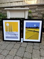 Both framed prints side by side showing size and matching frames