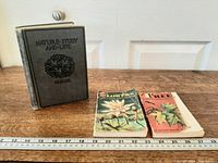 Front view of all three books with ruler for scale