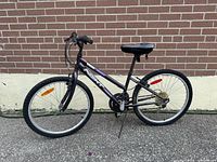 Full side view of NEXT Challenger bicycle showing frame, wheels, and overall condition