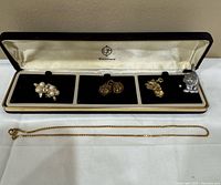 Jewellery case open showing three earring pairs, figurine, chain necklace