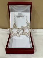 earrings displayed in red box, showing design and hooks