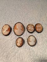 Six cameo brooches arranged on fabric showing size and designs