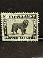 Front of mint Newfoundland 14¢ Dog stamp showing design and centering