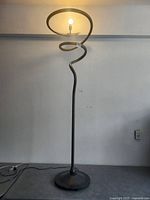 Full view of metal floor lamp with spiral neck and bulb illuminated