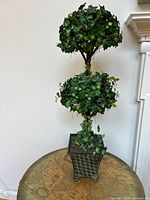 Full view of double-ball ivy topiary in planter