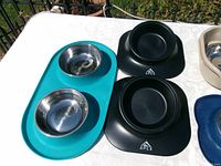 Teal double feeder with two black Apex bowls visible