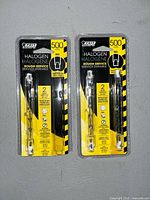 Front view of two sealed blister packs containing Feit Electric 500W halogen RSC bulbs