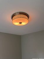 Ceiling-mounted round light illuminated, showing metal lattice band and frosted glass