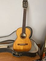 Front view of Giannini GN50 classical guitar standing in open case