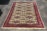 Full view of rug showing entire pattern and fringe